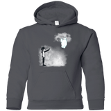 Sweatshirts Charcoal / YS Banksy Max Youth Hoodie