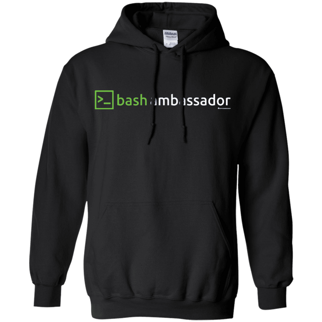 Sweatshirts Black / Small Bash Ambassador Pullover Hoodie