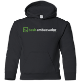Sweatshirts Black / YS Bash Ambassador Youth Hoodie