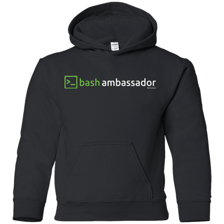 Sweatshirts Black / YS Bash Ambassador Youth Hoodie