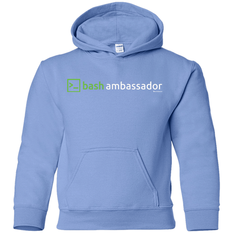 Sweatshirts Carolina Blue / YS Bash Ambassador Youth Hoodie