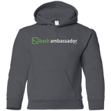 Sweatshirts Charcoal / YS Bash Ambassador Youth Hoodie