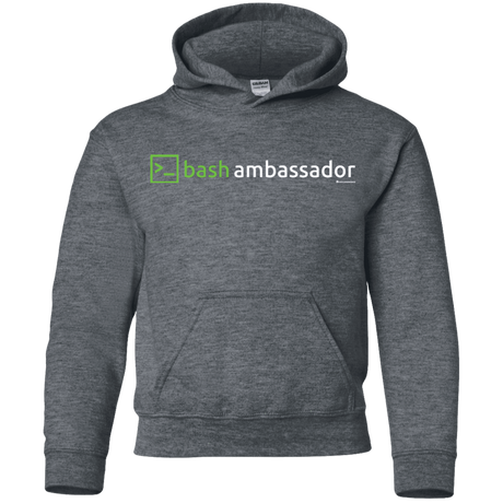 Sweatshirts Dark Heather / YS Bash Ambassador Youth Hoodie