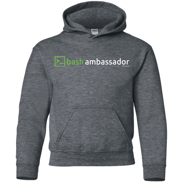 Sweatshirts Dark Heather / YS Bash Ambassador Youth Hoodie
