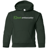 Sweatshirts Forest Green / YS Bash Ambassador Youth Hoodie