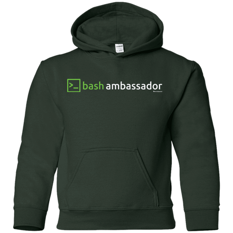 Sweatshirts Forest Green / YS Bash Ambassador Youth Hoodie