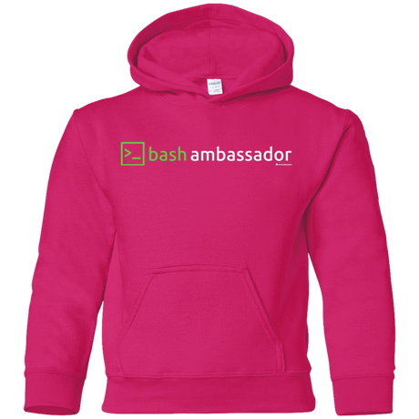 Sweatshirts Heliconia / YS Bash Ambassador Youth Hoodie