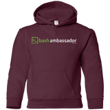 Sweatshirts Maroon / YS Bash Ambassador Youth Hoodie
