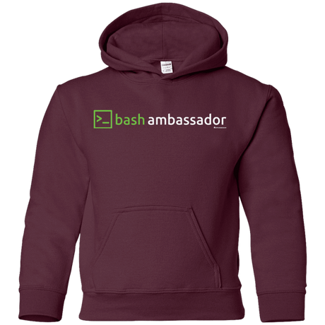 Sweatshirts Maroon / YS Bash Ambassador Youth Hoodie