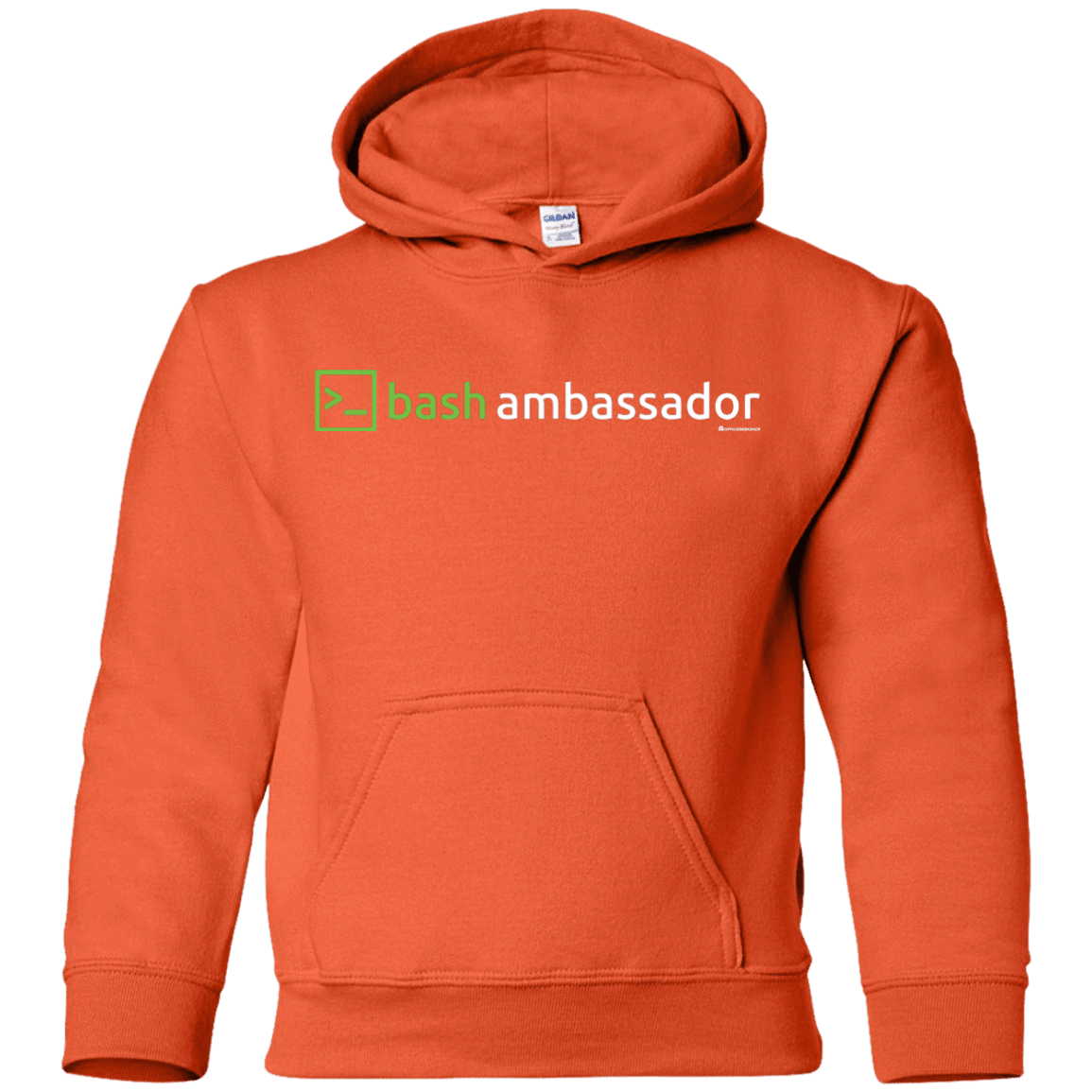 Sweatshirts Orange / YS Bash Ambassador Youth Hoodie