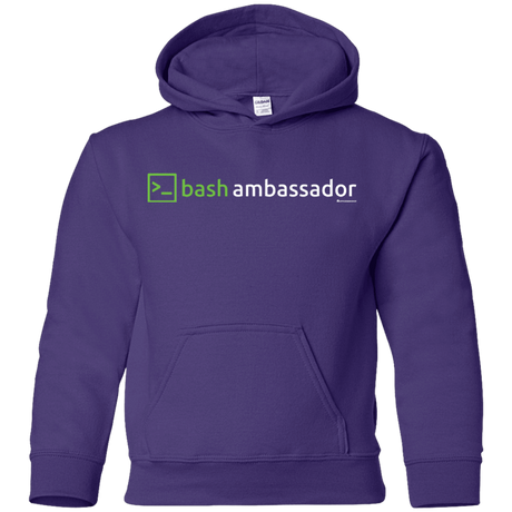 Sweatshirts Purple / YS Bash Ambassador Youth Hoodie