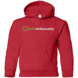 Sweatshirts Red / YS Bash Ambassador Youth Hoodie