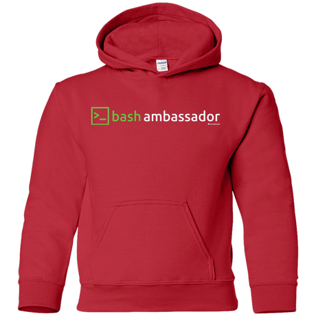 Sweatshirts Red / YS Bash Ambassador Youth Hoodie