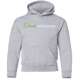 Sweatshirts Sport Grey / YS Bash Ambassador Youth Hoodie