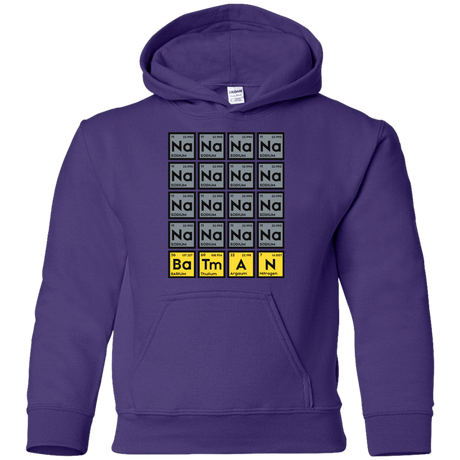Sweatshirts Purple / YS Batmanium Youth Hoodie