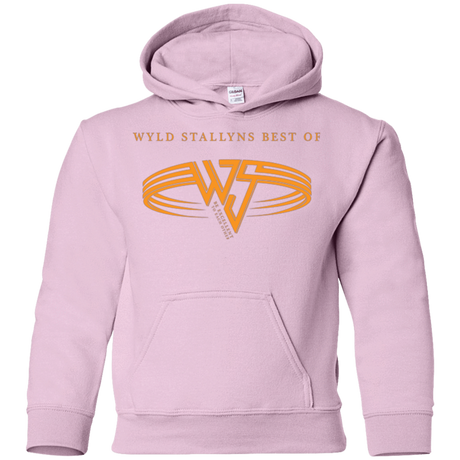Sweatshirts Light Pink / YS Be Excellent To Each Other Youth Hoodie