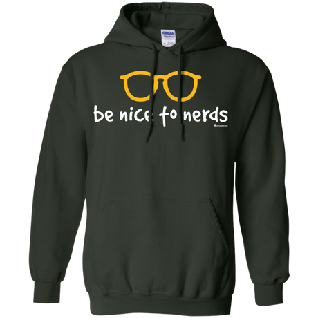 Sweatshirts Forest Green / Small Be Nice To Nerds Pullover Hoodie