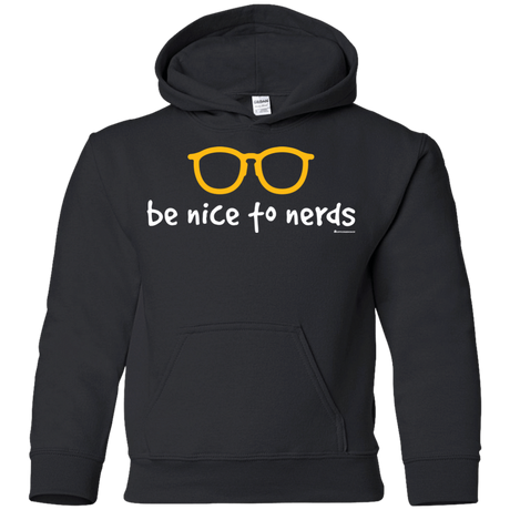 Sweatshirts Black / YS Be Nice To Nerds Youth Hoodie