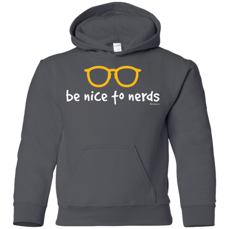 Sweatshirts Charcoal / YS Be Nice To Nerds Youth Hoodie