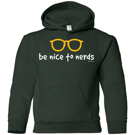 Sweatshirts Forest Green / YS Be Nice To Nerds Youth Hoodie