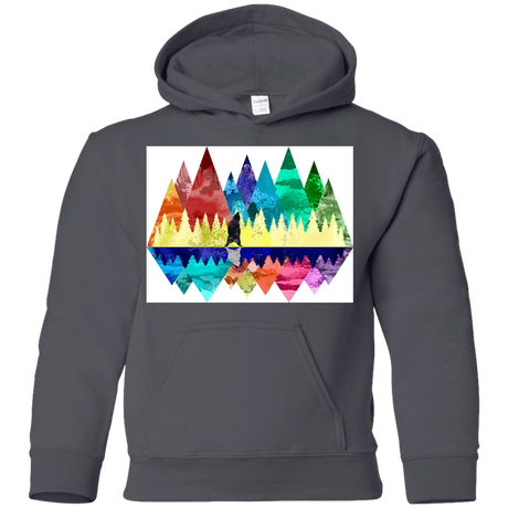 Sweatshirts Charcoal / YS Bear Color Forest Youth Hoodie