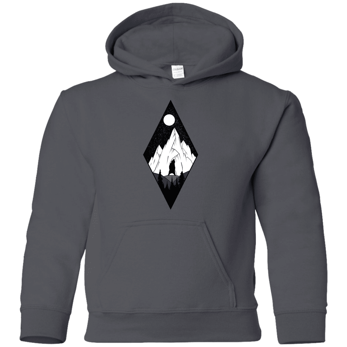 Sweatshirts Charcoal / YS Bear Diamond Youth Hoodie