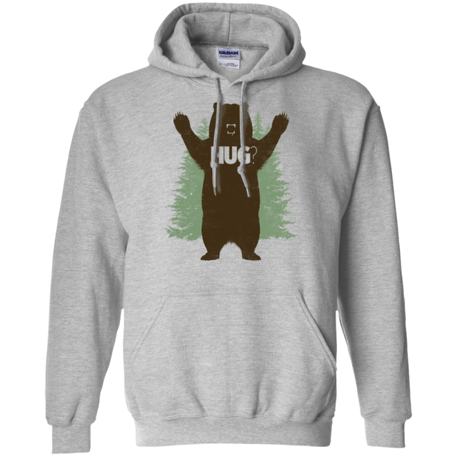 Sweatshirts Sport Grey / Small Bear Hug Pullover Hoodie