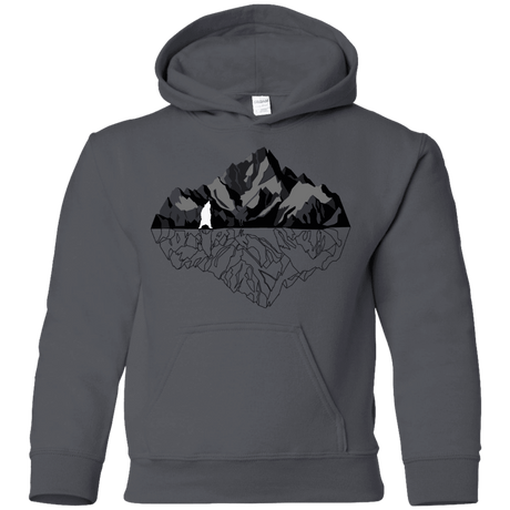 Sweatshirts Charcoal / YS Bear Reflection Youth Hoodie