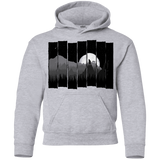 Sweatshirts Sport Grey / YS Bear Slats Youth Hoodie