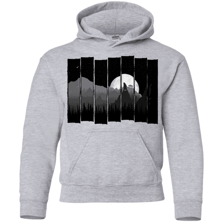 Sweatshirts Sport Grey / YS Bear Slats Youth Hoodie
