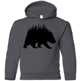 Sweatshirts Charcoal / YS Bears Home Youth Hoodie