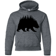Sweatshirts Dark Heather / YS Bears Home Youth Hoodie