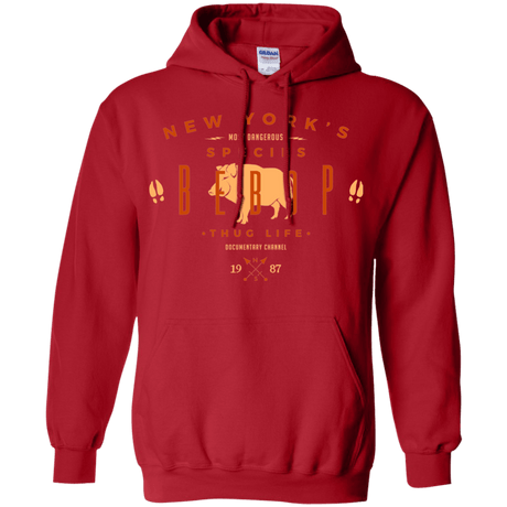 Sweatshirts Red / S BEBOP Pullover Hoodie