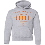 Sweatshirts Sport Grey / YS BEBOP Youth Hoodie