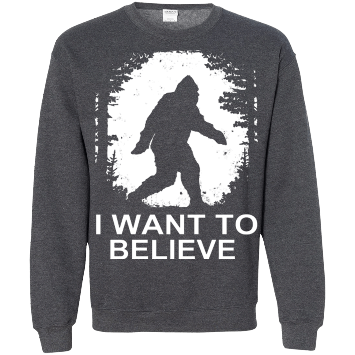 Sweatshirts Dark Heather / Small Believe Crewneck Sweatshirt