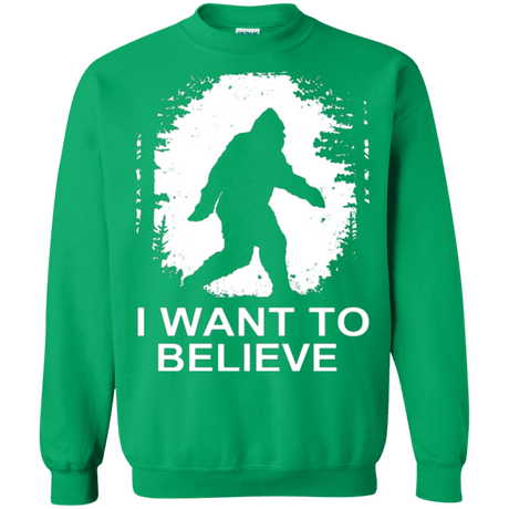 Sweatshirts Irish Green / Small Believe Crewneck Sweatshirt