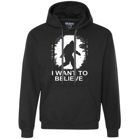 Sweatshirts Black / Small Believe Premium Fleece Hoodie