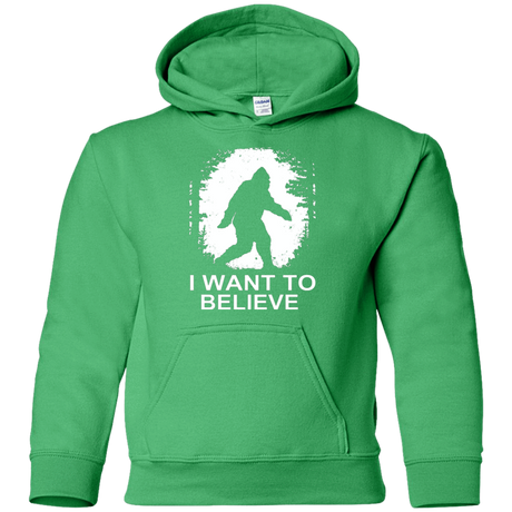 Sweatshirts Irish Green / YS Believe Youth Hoodie