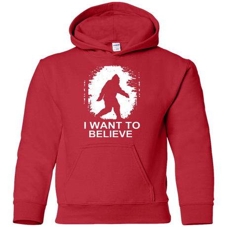 Sweatshirts Red / YS Believe Youth Hoodie