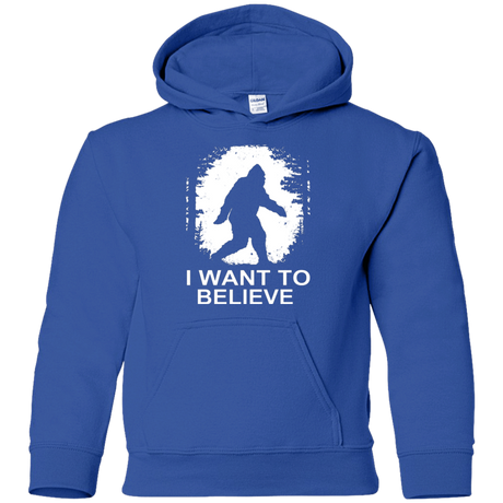 Sweatshirts Royal / YS Believe Youth Hoodie