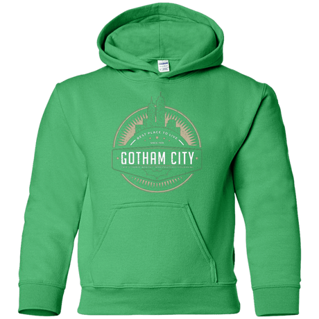 Sweatshirts Irish Green / YS Best Place To Live Youth Hoodie