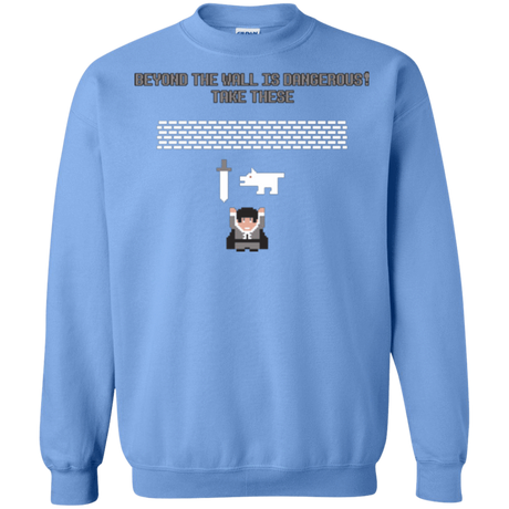 Sweatshirts Carolina Blue / Small Beyond the Wall Crewneck Sweatshirt