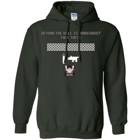 Sweatshirts Forest Green / Small Beyond the Wall Pullover Hoodie