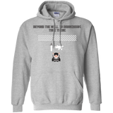 Sweatshirts Sport Grey / Small Beyond the Wall Pullover Hoodie