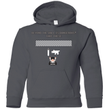 Sweatshirts Charcoal / YS Beyond the Wall Youth Hoodie