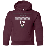 Sweatshirts Maroon / YS Beyond the Wall Youth Hoodie