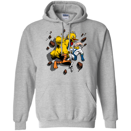 Sweatshirts Sport Grey / Small Big Bird and Worm Pullover Hoodie