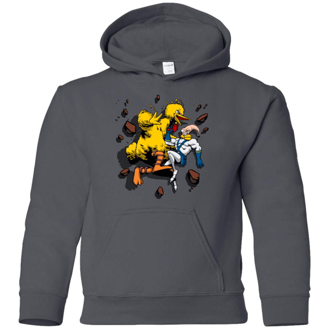 Sweatshirts Charcoal / YS Big Bird and Worm Youth Hoodie