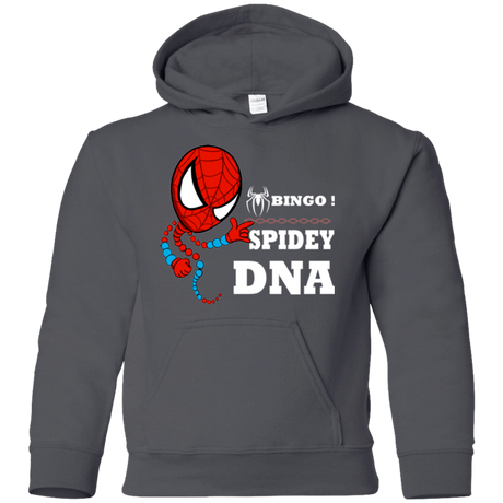 Sweatshirts Charcoal / YS Bingo Spidey Youth Hoodie