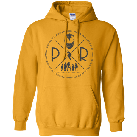 Sweatshirts Gold / Small Black Power Pullover Hoodie